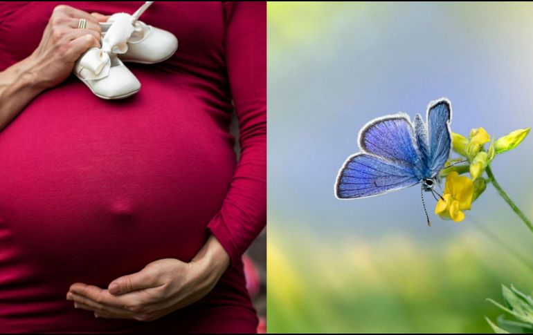 Uno de cada cuatro embarazos en el mundo no se logra. ESPECIAL/Pexels y Pixabay