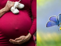 Uno de cada cuatro embarazos en el mundo no se logra. ESPECIAL/Pexels y Pixabay