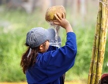 El incremento en casos de dengue en Jalisco ha disparado la venta y el precio también del coco en puestos y distribuidores en los mercados y fruterías. EL INFORMADOR / H. Figueroa