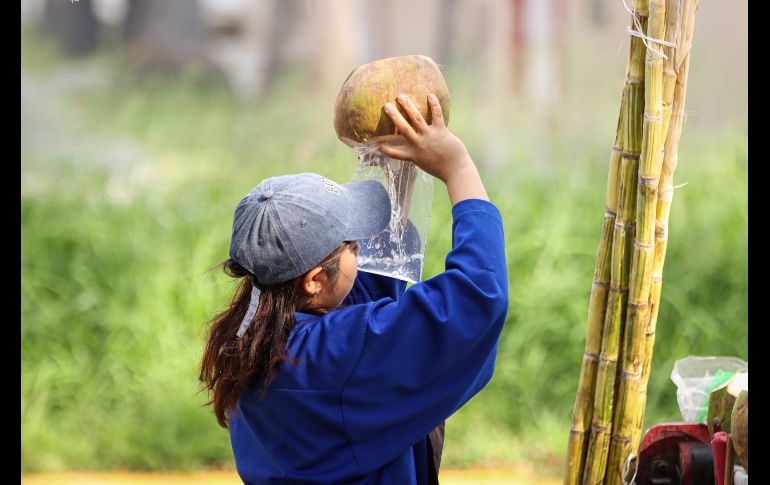 El incremento en casos de dengue en Jalisco ha disparado la venta y el precio también del coco en puestos y distribuidores en los mercados y fruterías. EL INFORMADOR / H. Figueroa