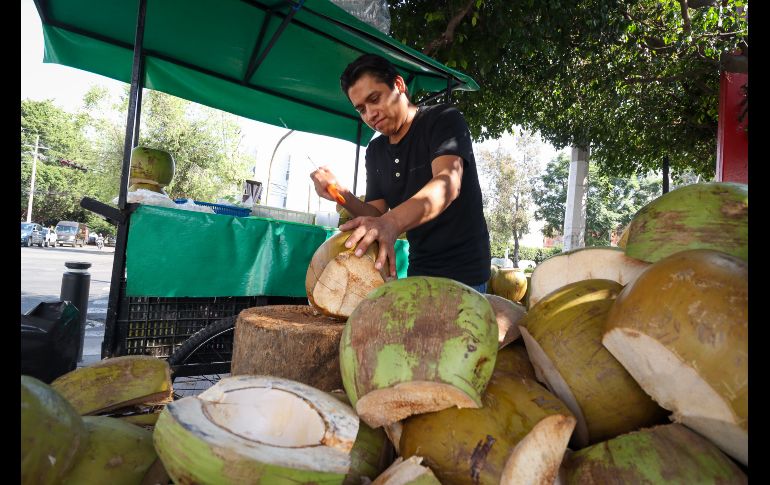 El incremento en casos de dengue en Jalisco ha disparado la venta y el precio también del coco en puestos y distribuidores en los mercados y fruterías. EL INFORMADOR / H. Figueroa