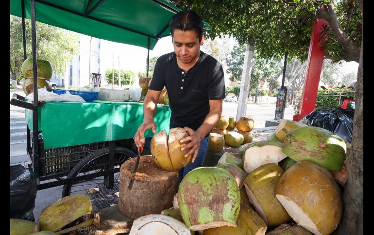 El incremento en casos de dengue en Jalisco ha disparado la venta y el precio también del coco en puestos y distribuidores en los mercados y fruterías. EL INFORMADOR / H. Figueroa