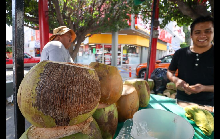 El incremento en casos de dengue en Jalisco ha disparado la venta y el precio también del coco en puestos y distribuidores en los mercados y fruterías. EL INFORMADOR / H. Figueroa