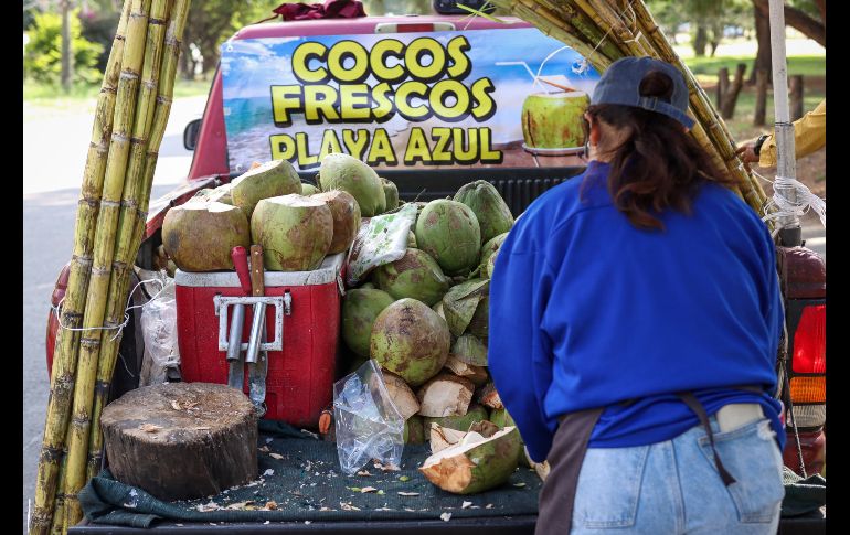 El incremento en casos de dengue en Jalisco ha disparado la venta y el precio también del coco en puestos y distribuidores en los mercados y fruterías. EL INFORMADOR / H. Figueroa