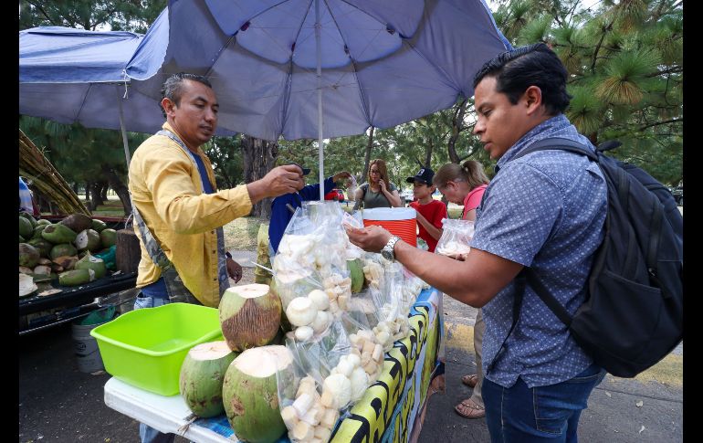 El incremento en casos de dengue en Jalisco ha disparado la venta y el precio también del coco en puestos y distribuidores en los mercados y fruterías. EL INFORMADOR / H. Figueroa