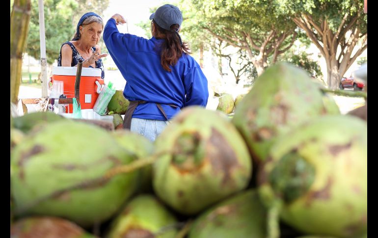 El incremento en casos de dengue en Jalisco ha disparado la venta y el precio también del coco en puestos y distribuidores en los mercados y fruterías. EL INFORMADOR / H. Figueroa