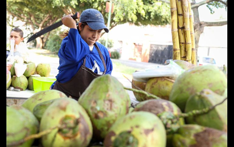 El incremento en casos de dengue en Jalisco ha disparado la venta y el precio también del coco en puestos y distribuidores en los mercados y fruterías. EL INFORMADOR / H. Figueroa