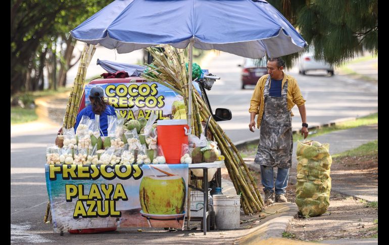 El incremento en casos de dengue en Jalisco ha disparado la venta y el precio también del coco en puestos y distribuidores en los mercados y fruterías. EL INFORMADOR / H. Figueroa