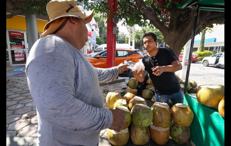 El incremento en casos de dengue en Jalisco ha disparado la venta y el precio también del coco en puestos y distribuidores en los mercados y fruterías. EL INFORMADOR / H. Figueroa