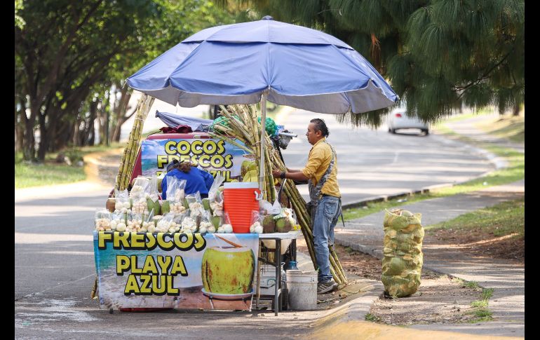 El incremento en casos de dengue en Jalisco ha disparado la venta y el precio también del coco en puestos y distribuidores en los mercados y fruterías. EL INFORMADOR / H. Figueroa
