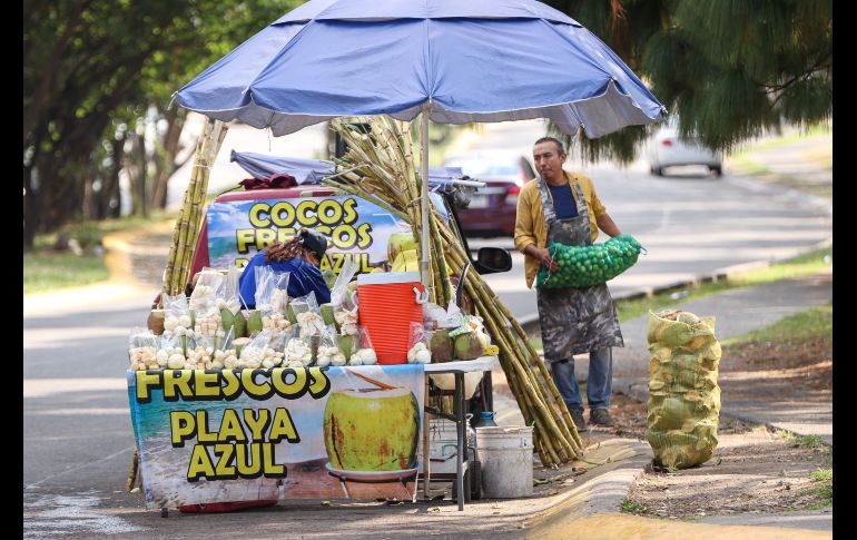 El incremento en casos de dengue en Jalisco ha disparado la venta y el precio también del coco en puestos y distribuidores en los mercados y fruterías. EL INFORMADOR / H. Figueroa