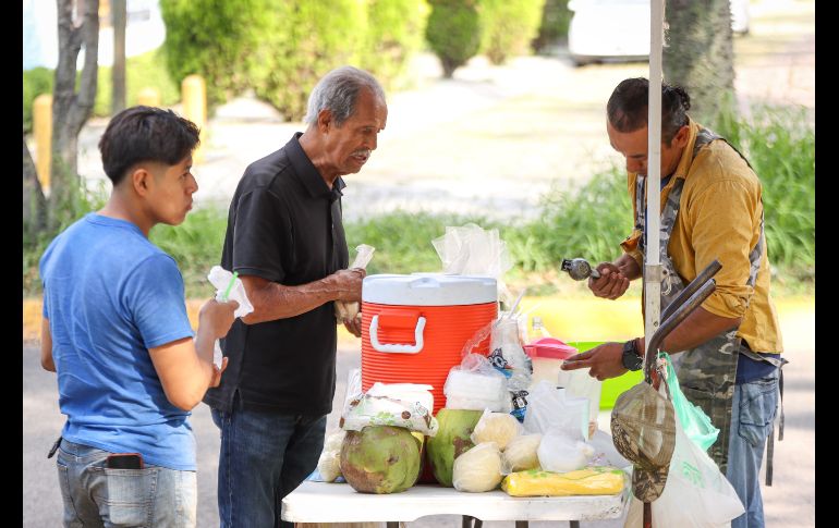 El incremento en casos de dengue en Jalisco ha disparado la venta y el precio también del coco en puestos y distribuidores en los mercados y fruterías. EL INFORMADOR / H. Figueroa