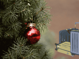 Las vacaciones decembrinas ocurren durante el último mes del año. ESPECIAL/Pixabay.