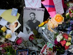 Antes de que la banda se convirtiera en One Direction, sus miembros hicieron audición para 