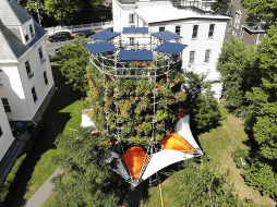 Los efectos del cambio climático nos afectan a todos. ESPECIAL / HARVARD UNIVERSITY