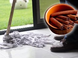 Existe un truco casero que es eficaz para conservar tu hogar alejado de aquellos insectos como las cucarachas. EL INFORMADOR / ARCHIVO / FREEPIK