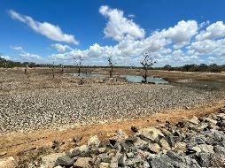 A corto plazo, la falta de agua podría afectar las producciones agrícolas en diversos estados. Unsplash
