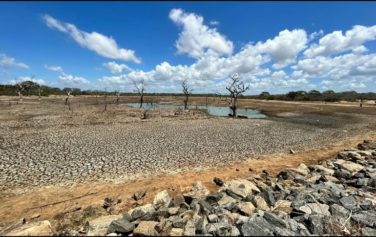 A corto plazo, la falta de agua podría afectar las producciones agrícolas en diversos estados. Unsplash