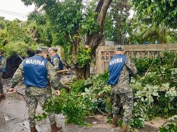 La Marina apoya en la limpieza ante los daños que ha causado el fenómeno meteorológico. ESPECIAL