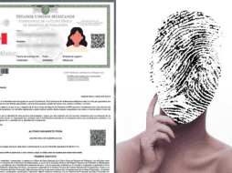 El CURP biométrico es una actualización del CURP que se conoce hasta ahora, con la diferencia de que se añaden elementos de las características físicas de una persona,. ESPECIAL/Imagen de Stefan Schweihofer en Pixabay