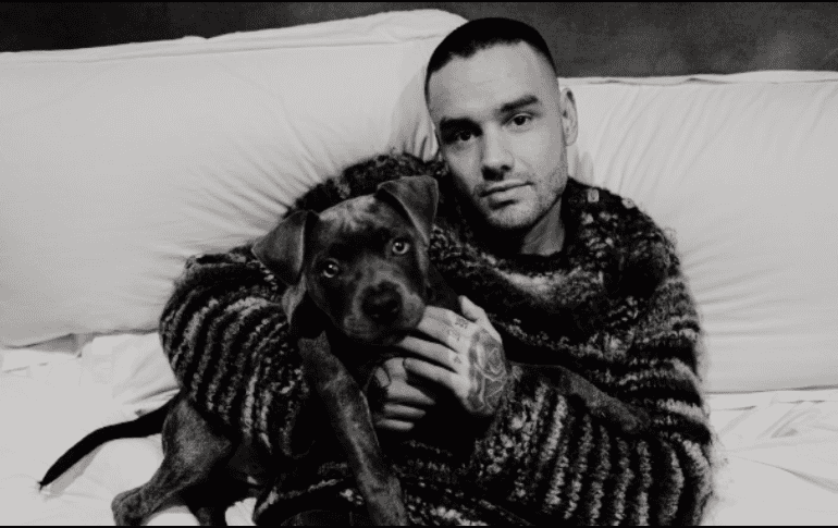 La música fue la protagonista del homenaje. INSTAGRAM/liampayne