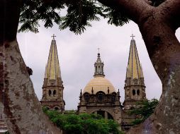 Guadalajara tiene árboles icónicos, algunos tan viejos como la ciudad misma. EL INFORMADOR/ ARCHIVO