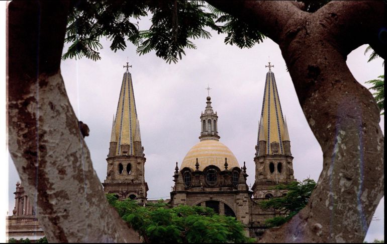 Guadalajara tiene árboles icónicos, algunos tan viejos como la ciudad misma. EL INFORMADOR/ ARCHIVO