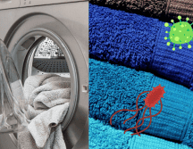 El mal olor es una clara señal de que los microbios están viviendo en la toalla. ESPECIAL/Imagen de Alexa en Pixabay/Imagen de Steve Buissinne en Pixabay