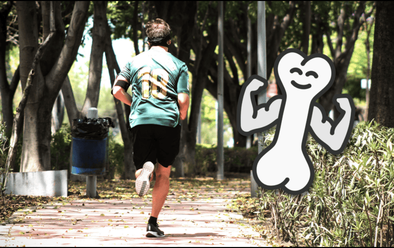 Los trastornos musculoesqueléticos comprenden más de 150 trastornos que afectan el sistema locomotor y son el principal factor que contribuye a la necesidad de rehabilitación en todo el mundo. EL INFORMADOR / ARCHIVO