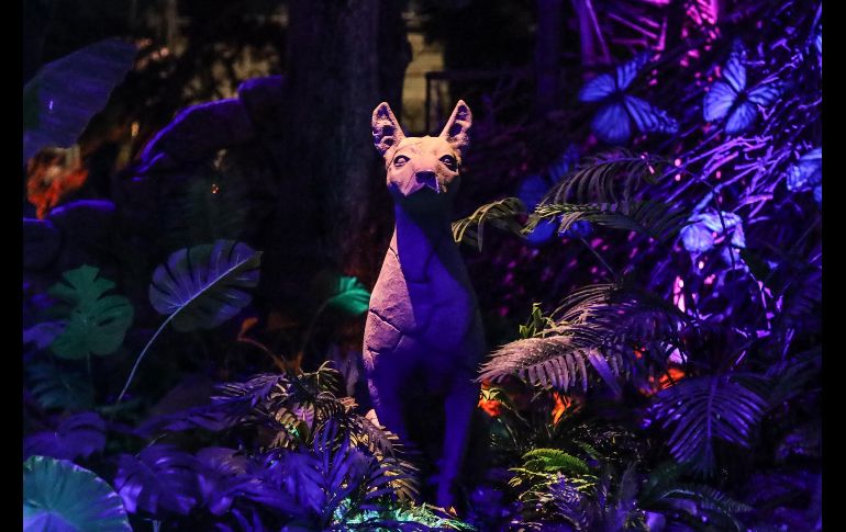 Este lunes se desarrolló un recorrido para medios de comunicación para conocer el avance del montaje, el cual se encuentra en un 93%, según compartió Tania Cortés, directora de Calaverandia, quien además resalta que el parque ha crecido en extensión. EL INFORMADOR / A. Navarro