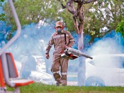 Las fumigaciones con insecticidas contra el mosco transmisor del dengue deben acompañarse con prevención de la ciudadanía, mediante acciones como retirar objetos que acumulen agua. ESPECIAL