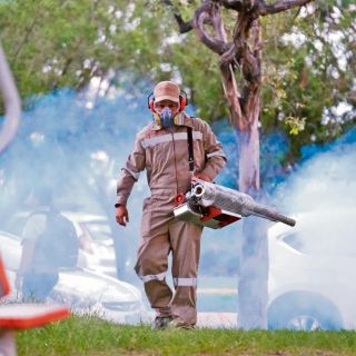 Crece dengue ante resistencia del mosco