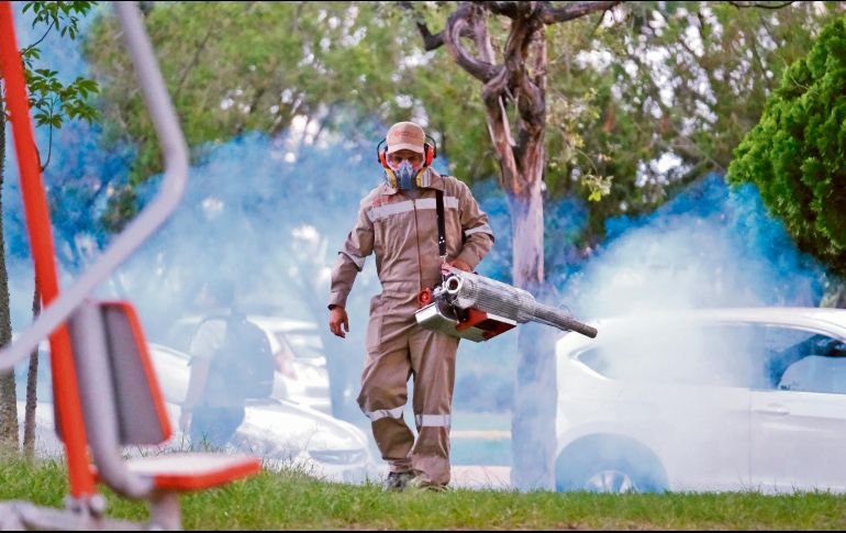 Las fumigaciones con insecticidas contra el mosco transmisor del dengue deben acompañarse con prevención de la ciudadanía, mediante acciones como retirar objetos que acumulen agua. ESPECIAL