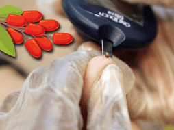 Además de sus beneficios en la regulación del azúcar, las bayas de goji son ricas en antioxidantes como la vitamina C, vitamina A y zinc. AP / ARCHIVO