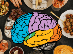 El consumo de una dieta balanceada puede resultar en una mejor salud cognitiva. PEXELS / CANVA