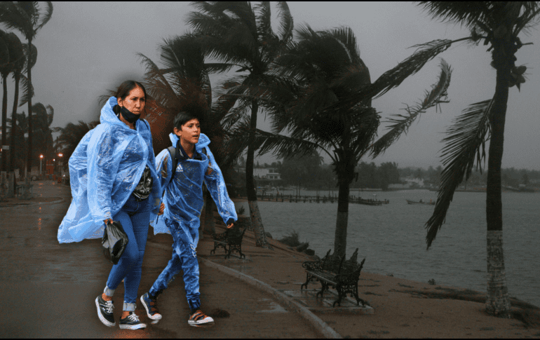 Clima en México: Las rachas de viento fuertes a muy fuertes podrían derribar árboles y anuncios publicitarios. EL INFORMADOR / ARCHIVO