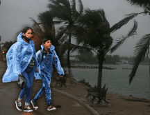 Clima en México: Las rachas de viento fuertes a muy fuertes podrían derribar árboles y anuncios publicitarios. EL INFORMADOR / ARCHIVO