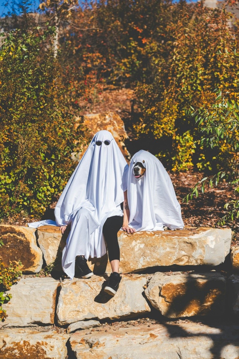 &nbsp;Disfraz de fantasma. ESPECIAL / UNSPLASH Megan Dujardin