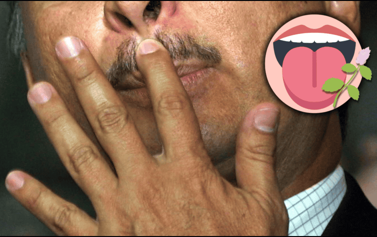 Los beneficios de la agastache no se limitan a la salud bucal. Sus hojas y flores contienen antioxidantes y propiedades antifúngicas que también pueden apoyar la salud general del cuerpo. AFP / ARCHIVO