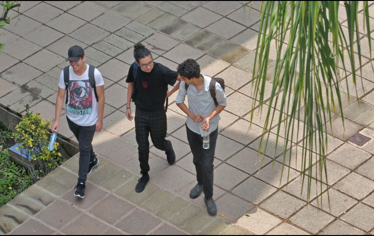 Las personas suelen tener diferentes fortalezas y no podemos esperar que una sola amistad cubra todas nuestras necesidades emocionales. EL INFORMADOR / ARCHIVO