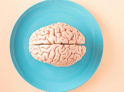 El cerebro humano debe mantenerse activo y con los nutrientes necesarios. PEXELS