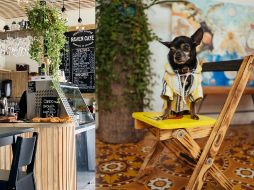 Siempre es una buena opción llevar a tu lomito a desayunar o tomar un café contigo. ESPECIAL/Pexels