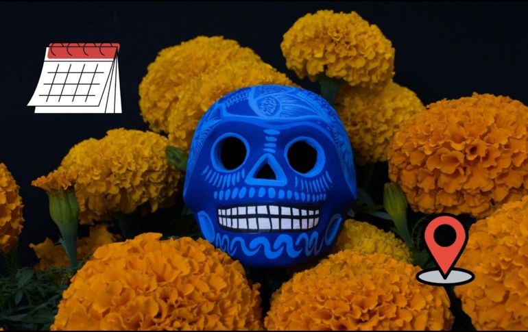 Es un deleite apreciar las hermosas flores de cempasúchil. ESPECIAL/Pexels y Canva