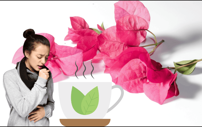 Esta flor además posee propiedades antibacterianas y se ha utilizado para tratar diversos problemas de la piel. CANVA/ ESPECIAL