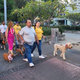 Celebran el 17° paseo con mascotas por avenida Chapultepec