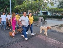 El objetivo de este evento es fomentar el trato digno y de respeto hacia los animales y mascotas en áreas públicas. EL INFORMADOR/O.GONZÁLEZ