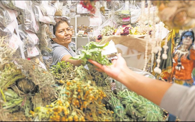 Locatarios reportan un incremento en la venta de plantas que sirven para ahuyentar a los zancudos. EL INFORMADOR/ H. Figueroa