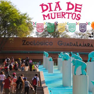 Zoológico Guadalajara lanza promoción por Día de Muertos
