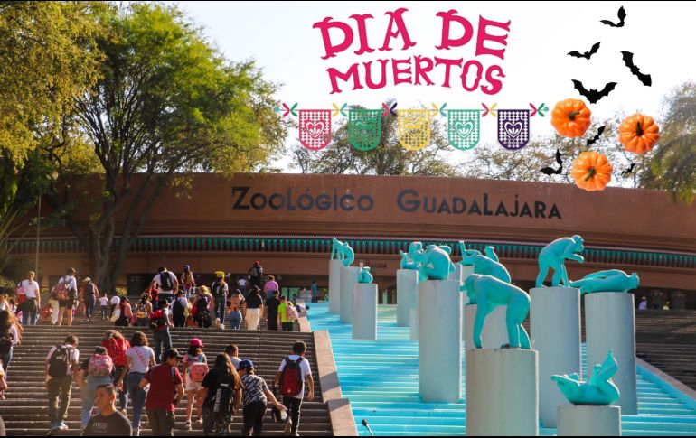 Del 31 de octubre al 2 de noviembre, el Zoológico Guadalajara lanza una promoción de 