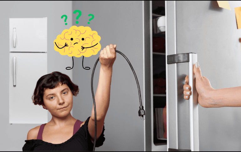 Expertos en tecnología han compartido con recientes estudios los impactos que puede tener el desconectar tu refrigerador para intentar ahorrar energía . CANVA/ ESPECIAL